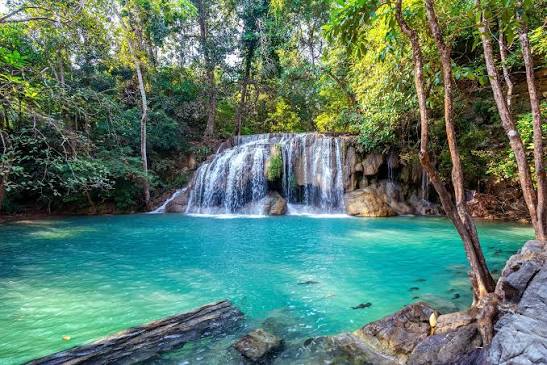 3-Day Pachmarhi Itinerary: The Perfect Weekend Getaway