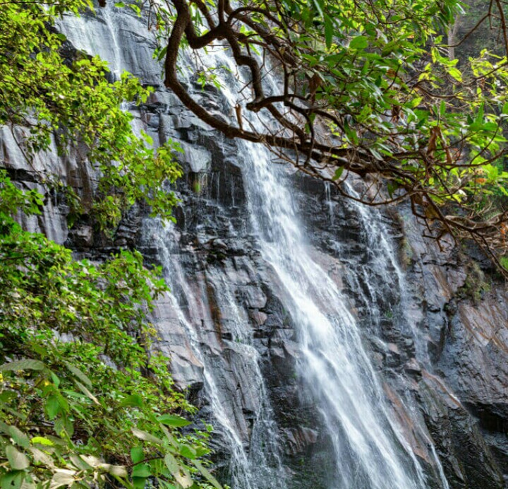 Duchess Fall
