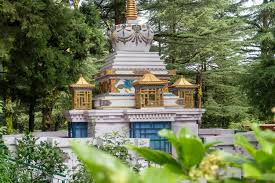 Tushita Meditation centre